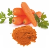 Carrot Powder