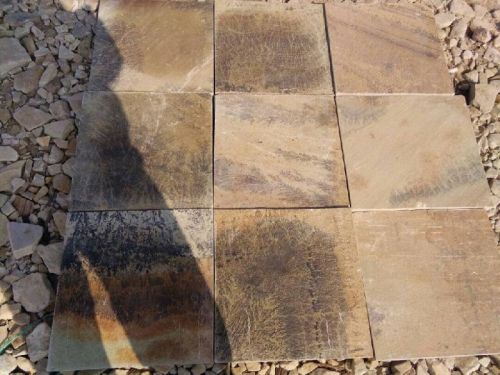 Fossil Mint Sandstone