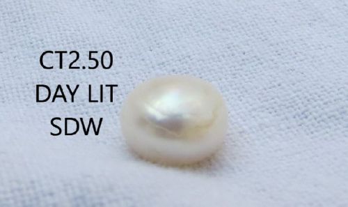 CT2.50 Day Lit SDW Pearl