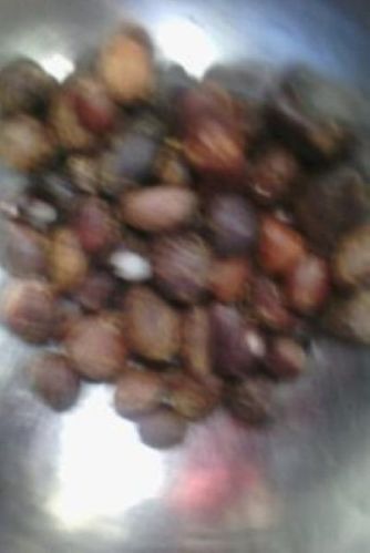 Palm Kernel Nut, Packaging Type : black for food&cosmetics