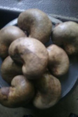 Raw Cashew Nuts, Brand Name : dg for food