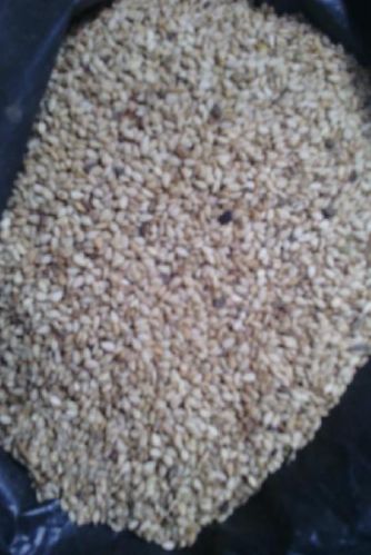 Sesame seeds, Packaging Type : white