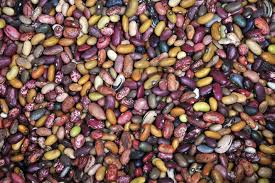 Organic Kidney Beans
