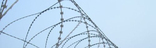 Concertina Wire