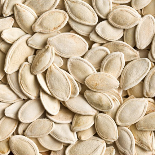 Pumpkin Seed