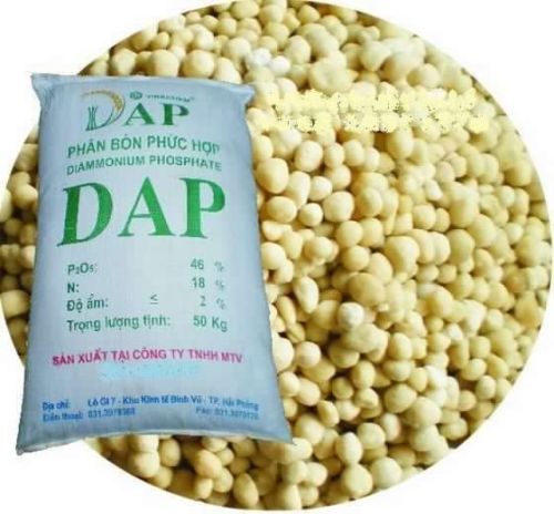 Diammonium Phosphate Fertilizers