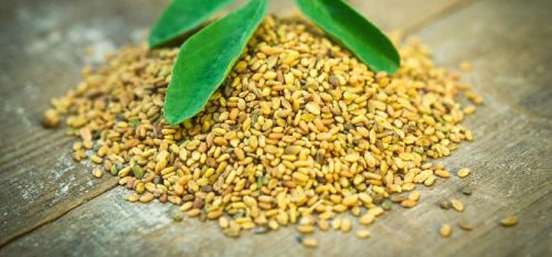 Blueleafexim Fenugreek Seeds, Packaging Type : 5 Kg