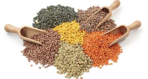 Lentils