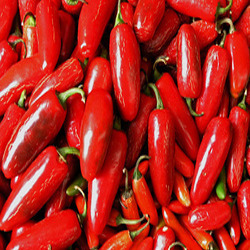 Red Chillies