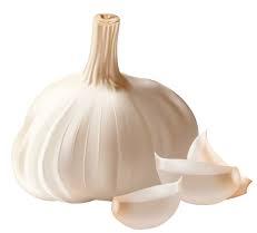 Garlic, Number Of Flower : Vegetable