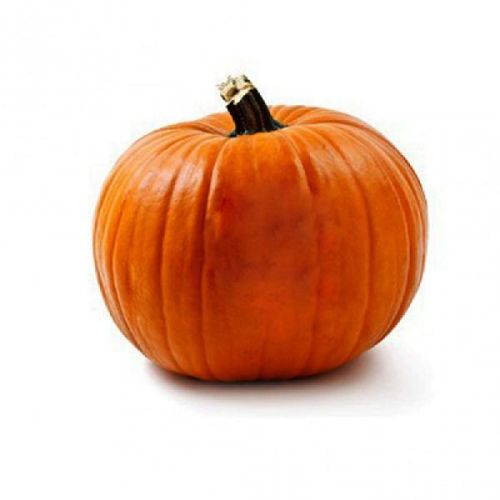Fresh Red Pumpkin for Cooking, Human Consumption