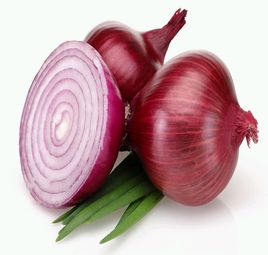 Organic fresh red onion for Cooking, Human Consumption