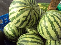 Common Agriculture Water Melon, Style : Fresh