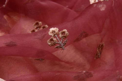 Nargis Embroidered Organza Silk Sarees, Occasion : Casual Wear