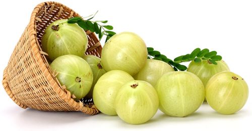 Fresh Amla, Shelf Life : 1-2 Weeks