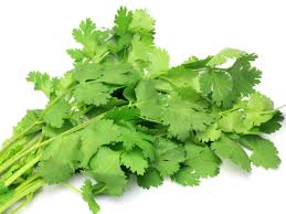 Fresh Coriander Leaves, Usage/Application : Use in Cooking
