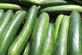 Fresh European Cucumber