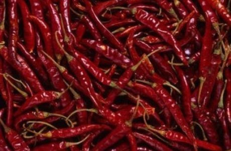 Fresh Red Chilli, Application : Natural Coloring, Gravies, Powders