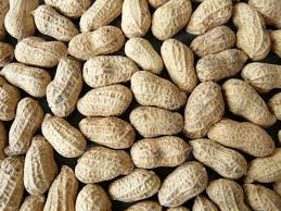 Shelled Groundnuts, Is It FSSAI Certified : Yes