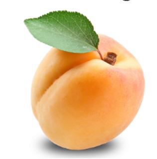 Apricot