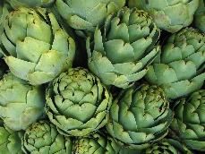 Artichoke