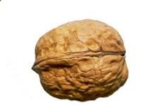 Organic Walnut Shell, For Cleaning, Scrub Products, Packaging Type : PP Bags
