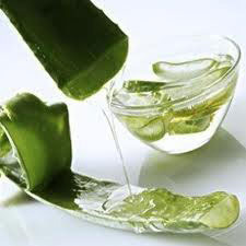 Aloe Vera Pulp