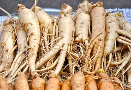 Ashwagandha Roots For Herbal Products, Medicine