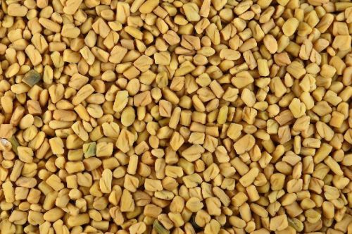 Organic Fenugreek Seeds, Certification : FSSAI