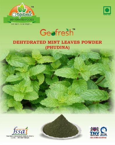 Dehydrated Mint Leaves Powder