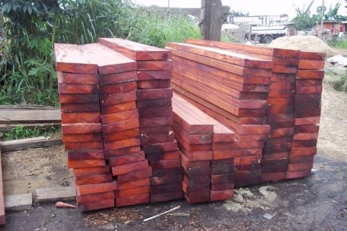 Padouk Sawn Timbers, Thickness : 5-30 mm, Width : 10-20inch