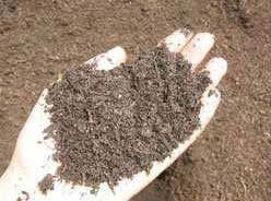 Bio Compost