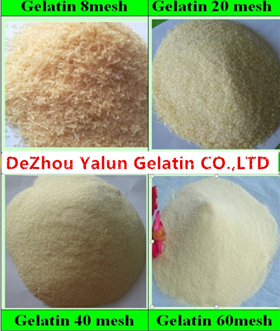 Gelatin, Brand Name : Yalun, CAS No. : 9000, Purity : 100%