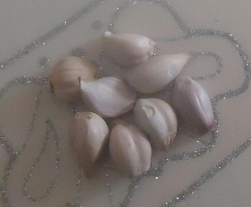 Fresh garlic, Shelf Life : 1 Week