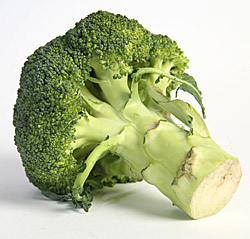 Fresh Broccoli, Packaging Type : Bulk