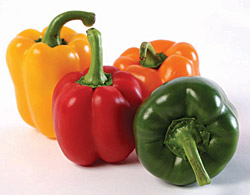 Fresh Bell Pepper