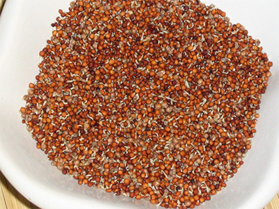 FINGER MILLET(RED MiLLET)