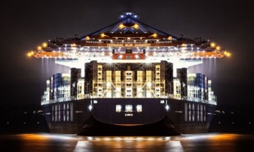 Arabica Coffee, Usage/Application : Beverage