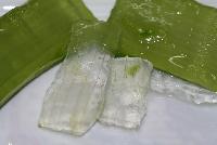 Aloe vera pulp