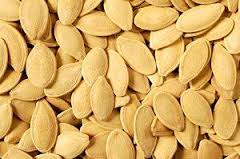 Pumpkin Seed