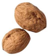 Organic Inshell Walnuts, For Scrub Products, Quality : Top Grade