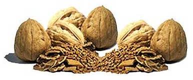 Walnut Shell