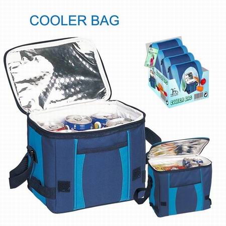 Thermal Insulation Ice Cooler Bag