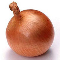 Onion