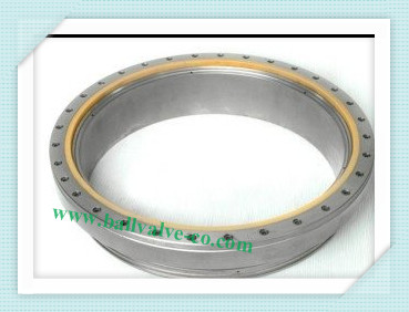 Valve Seat Ring