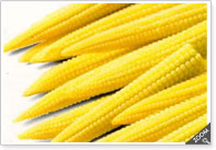 Frozen Baby Corn
