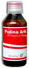 Pudina Ark