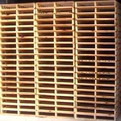 Heat Treated Wooden Pallets