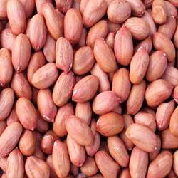 HPS Groundnuts