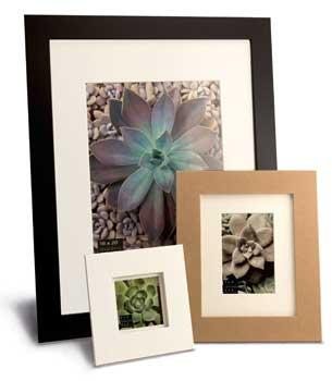 Plain Wooden Photo Frames, Shape : Rectangular